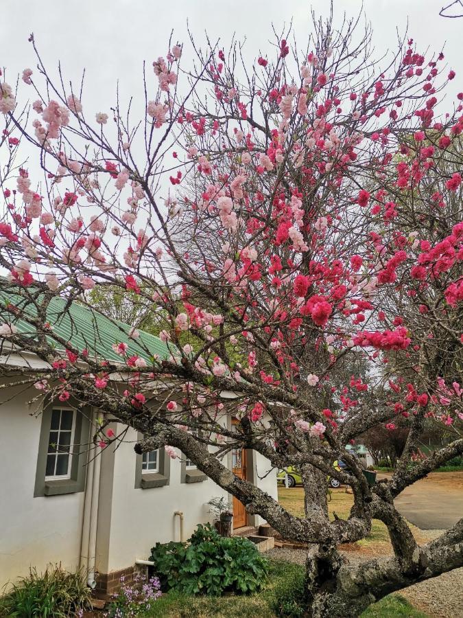 Sani Window B&B And Self Catering Underberg Exteriör bild